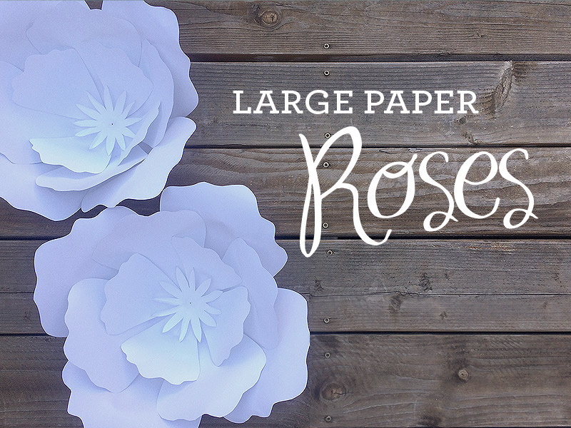 How to make giant paper roses plus a free petal template.