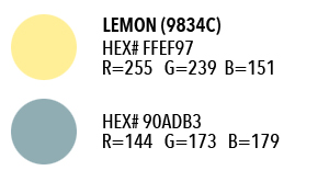 9834C-Guide-Color-Detail-Yellow