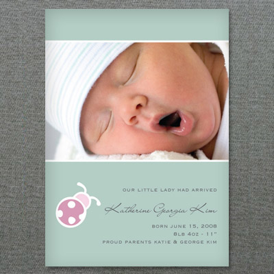 baby girl birth announcement template with lady bug newborn announcement template