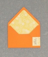 Allison Envelope Liner