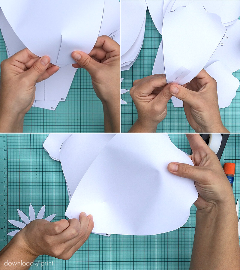Shape petals for the giant paper rose | Download & Print