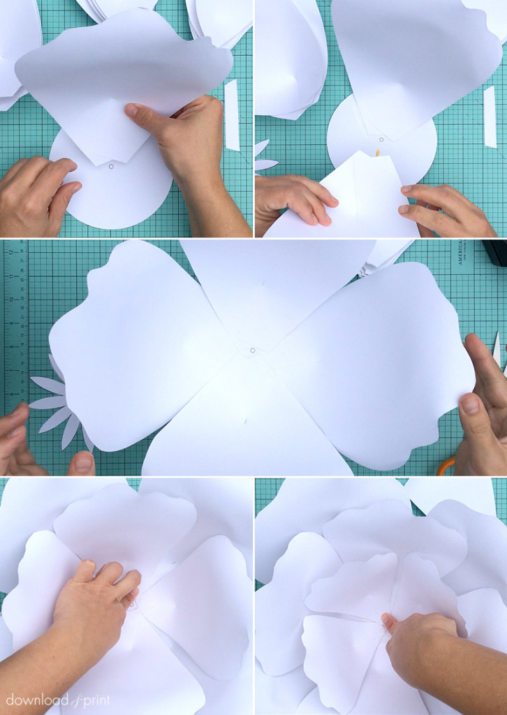 How to assemble a giant paper rose | Download & Print