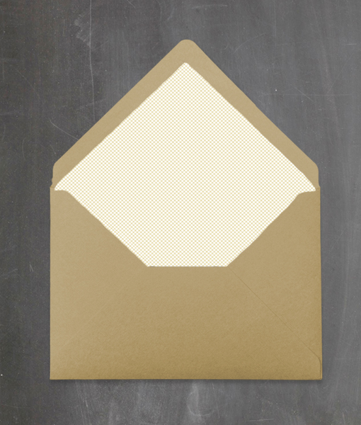 5703-RA-envelope-liner-510x600