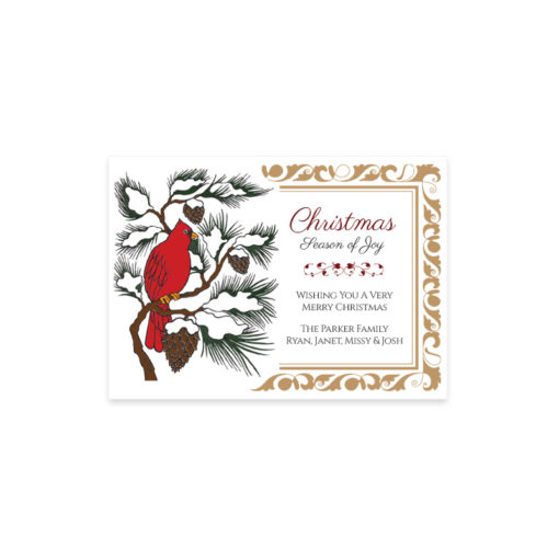 Printable Party Invitations by Download + Print